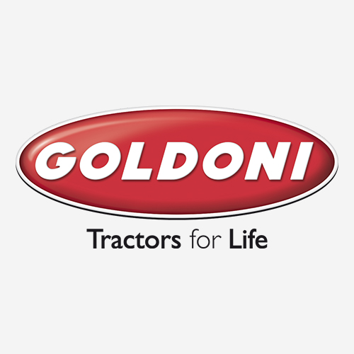 goldoni logo